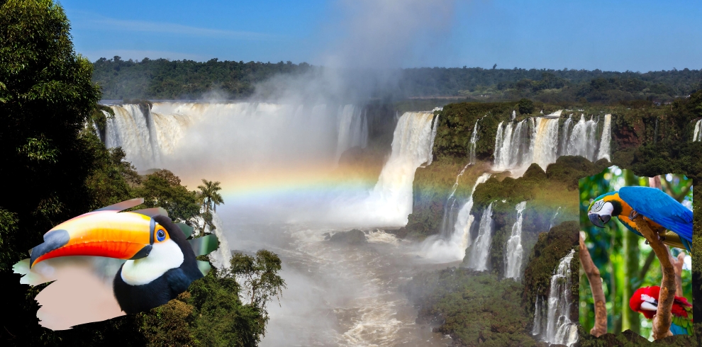 7 atrações imperdíveis que você precisa conhecer em Foz do Iguaçu